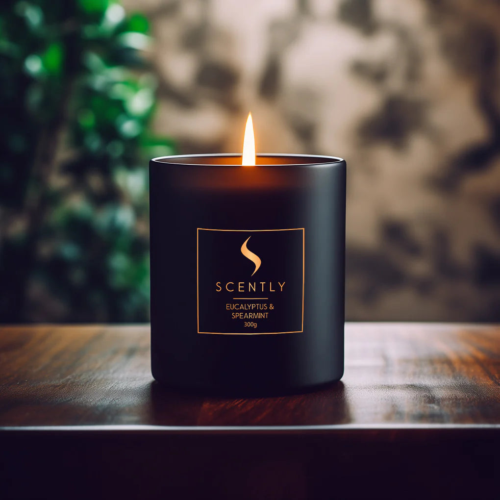 Eucalyptus & Spearmint - Scented Candle